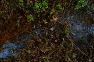 How To Find A Water Leak Underground: Your Guide To Detecting