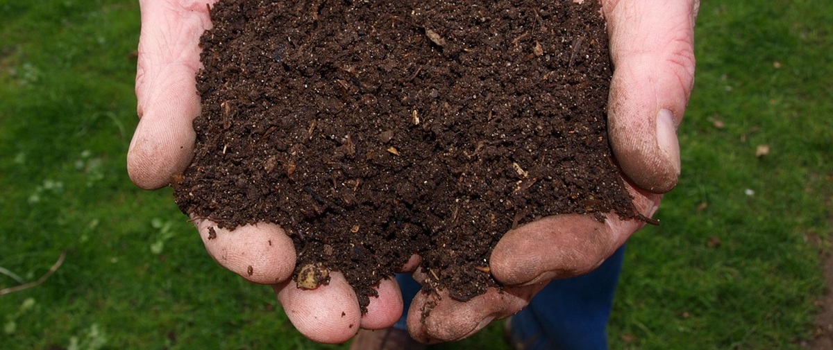 Composting Toilet Dumping A Complete Guide to Responsible Emptying and Composting Every Drop